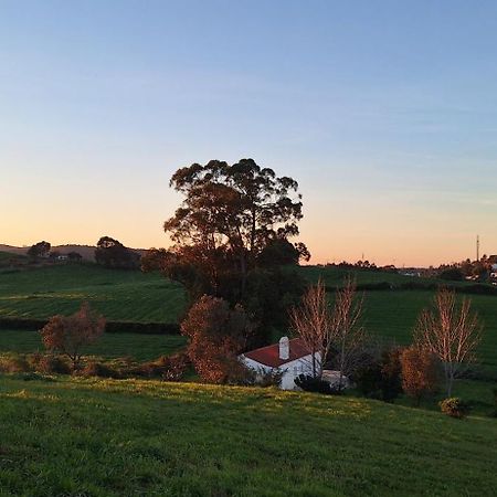 Portela Guesthouse Cercal do Alentejo Ngoại thất bức ảnh