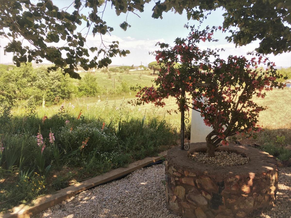 Portela Guesthouse Cercal do Alentejo Ngoại thất bức ảnh