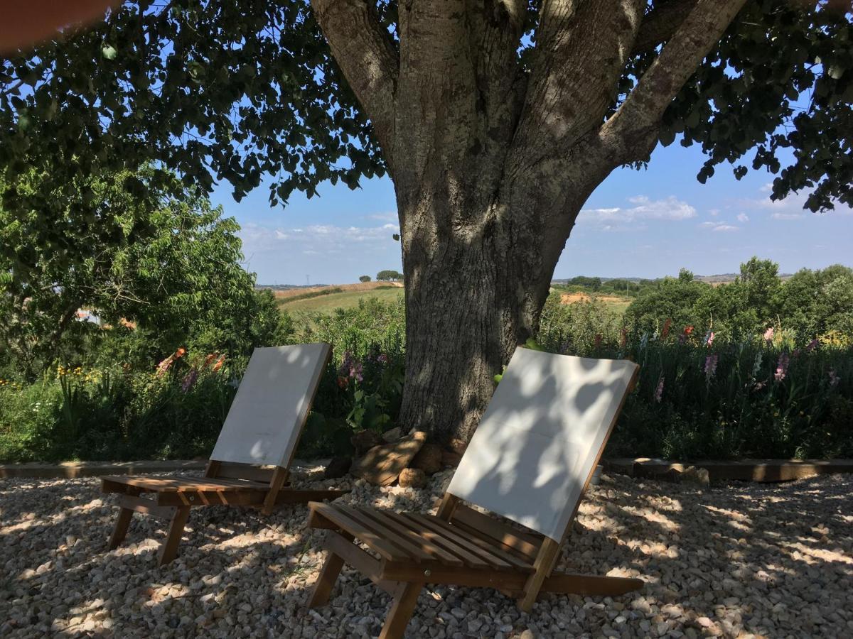 Portela Guesthouse Cercal do Alentejo Ngoại thất bức ảnh