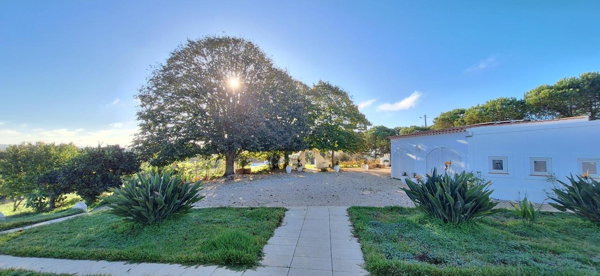 Portela Guesthouse Cercal do Alentejo Ngoại thất bức ảnh